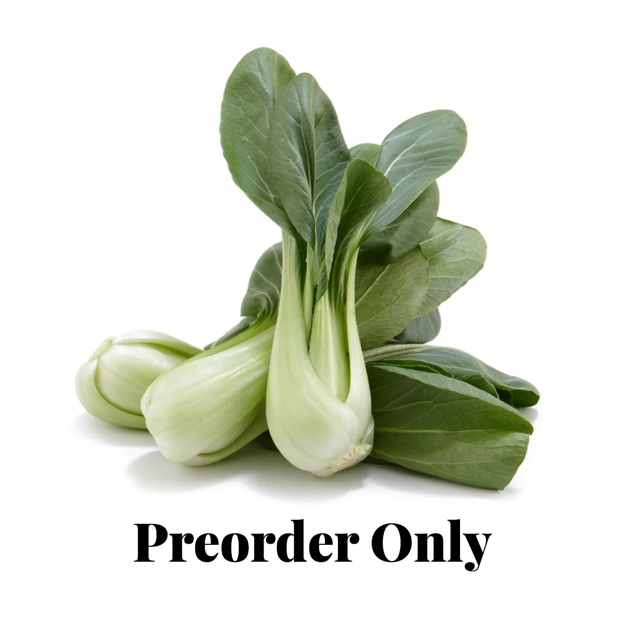 Baby Buk Choy - each - seasonal (Mar-May, Sep-Nov)