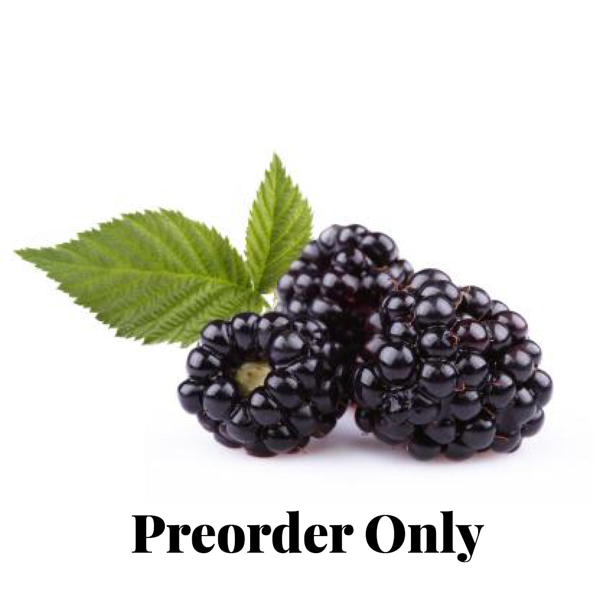 Blackberries - punnet - seasonal (Dec-Jan)