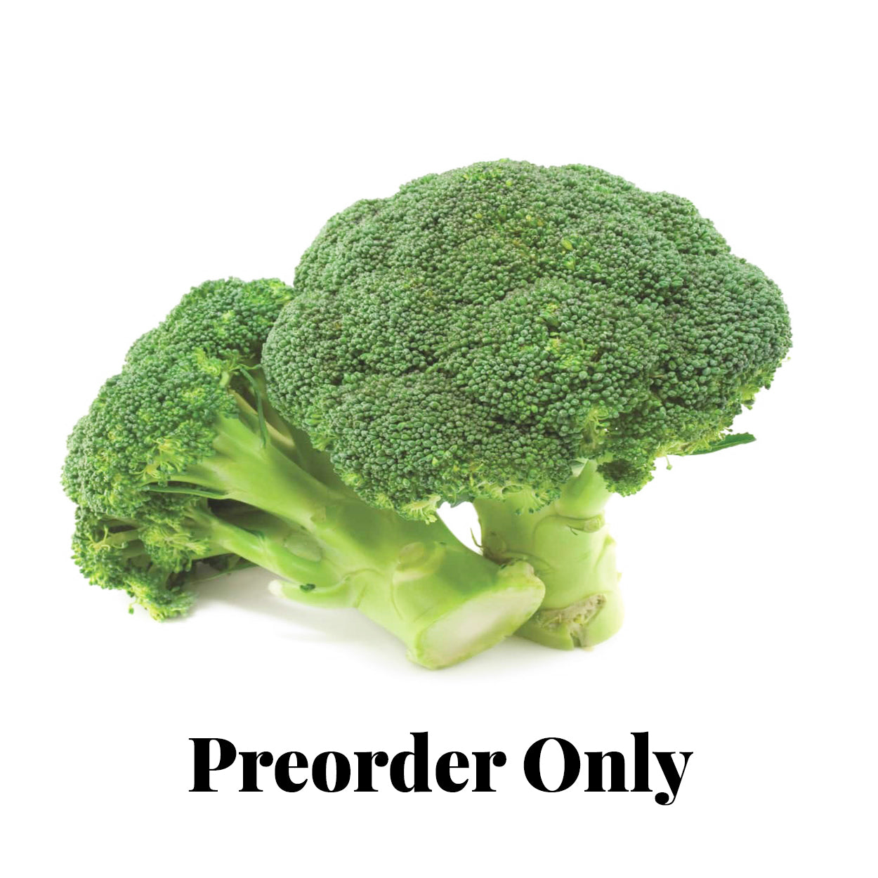 Broccoli