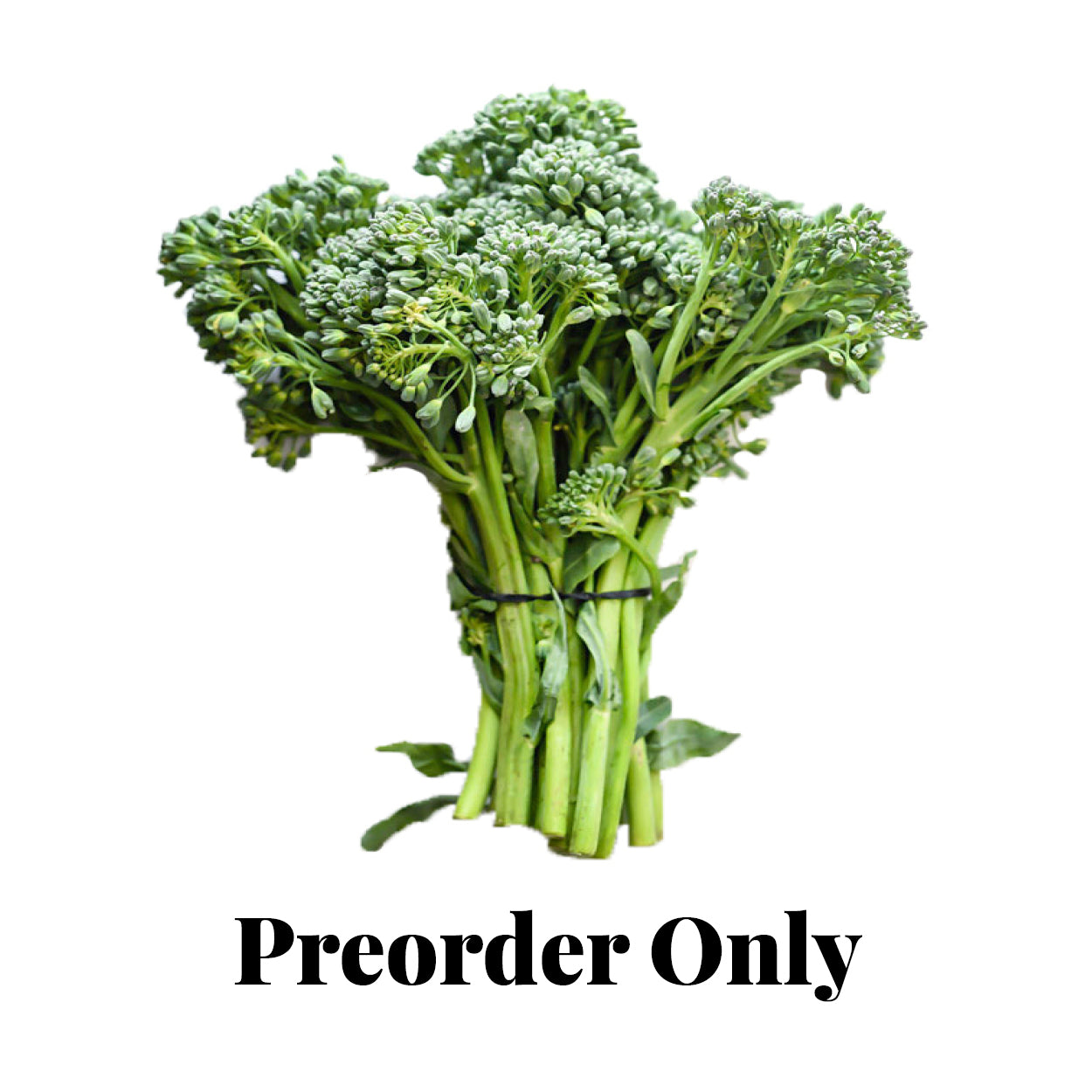 Broccolini - bunch - seasonal (Mar-Aug)