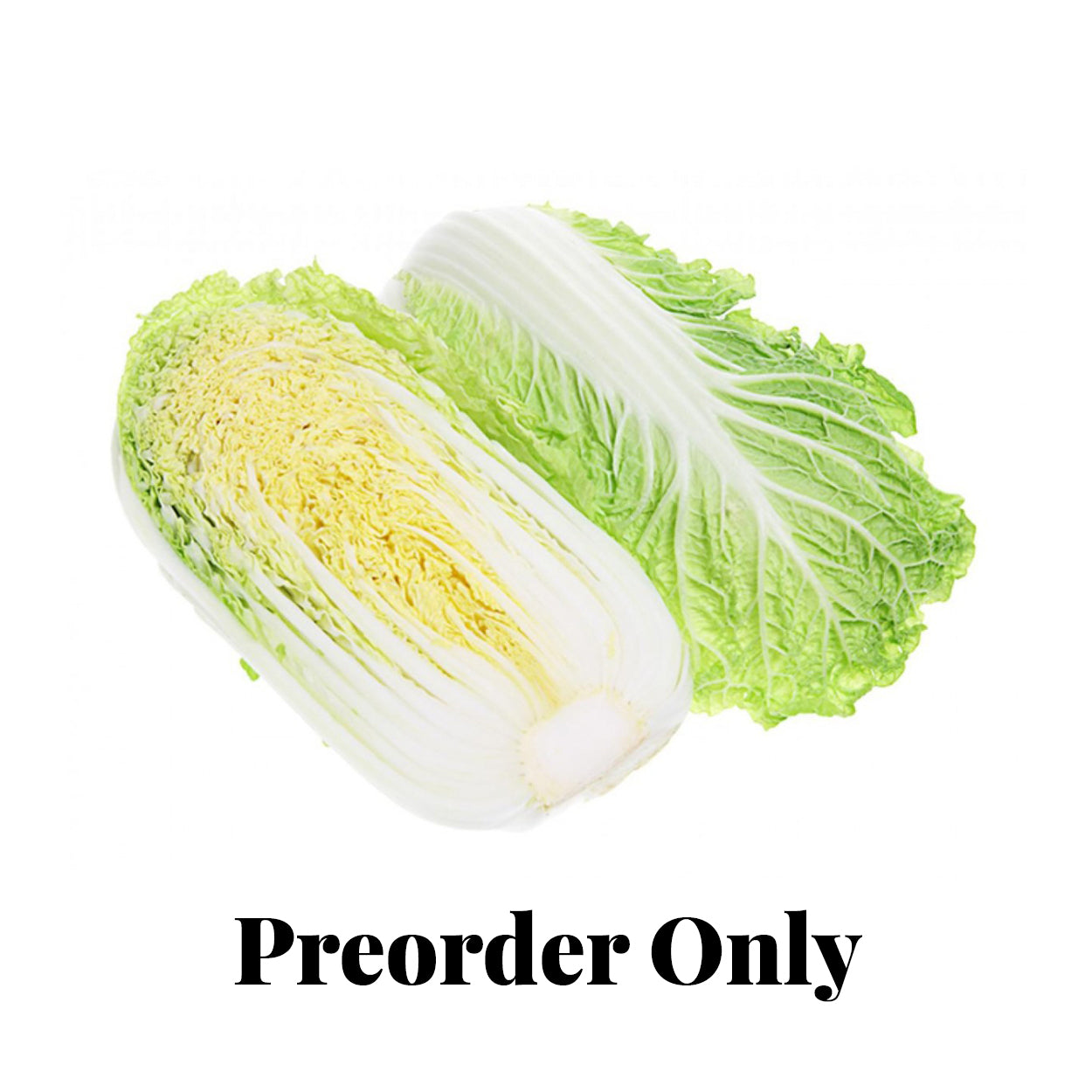 Cabbage - Wombok (Chinese)