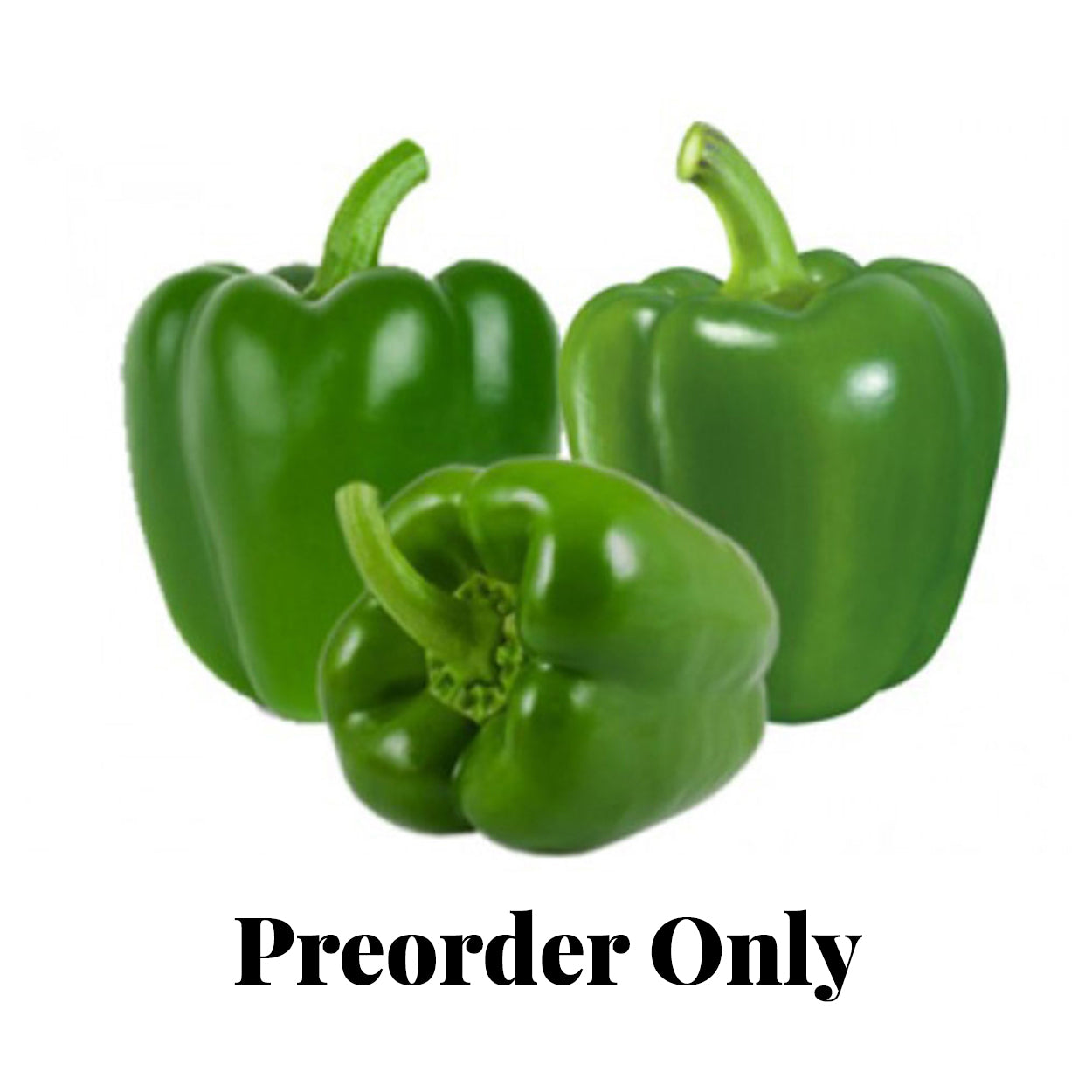 Capsicum - Green