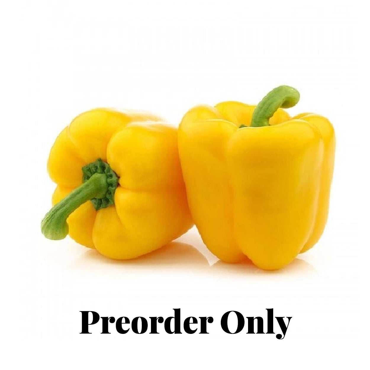 Capsicum - Yellow