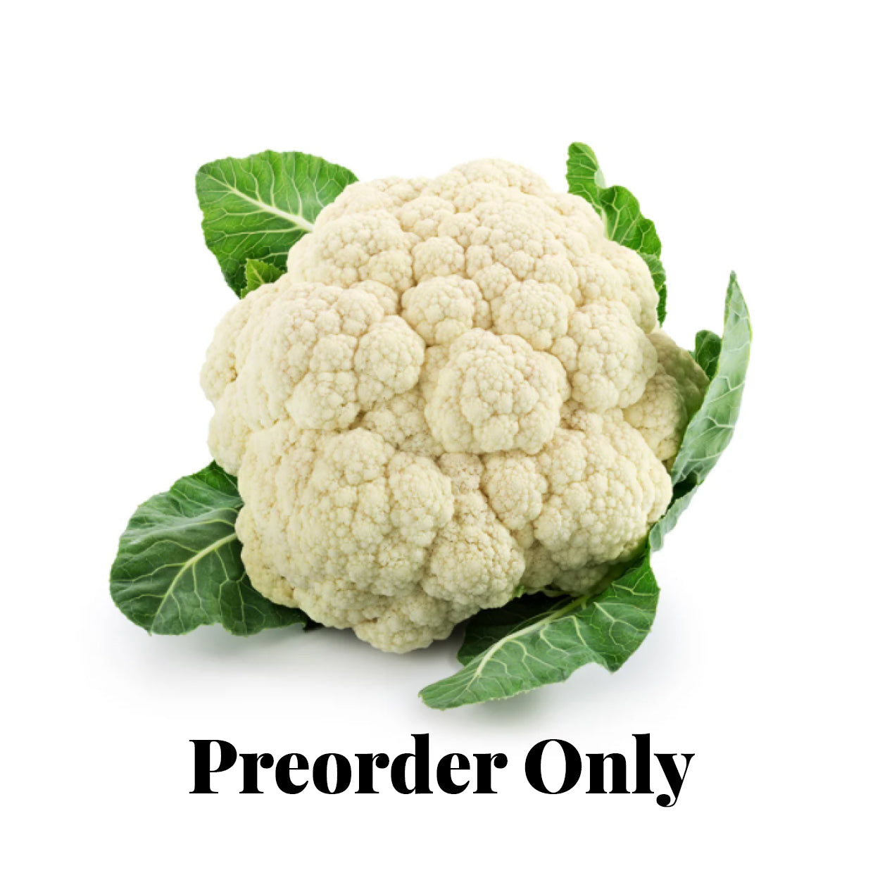 Cauliflower - fresh - seasonal (Apr-Sep)