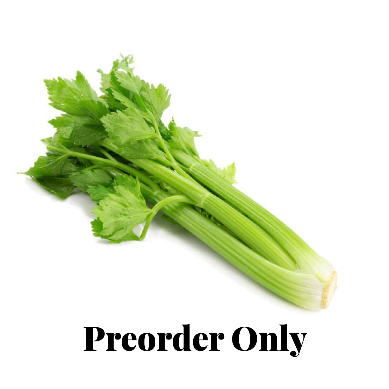 Celery