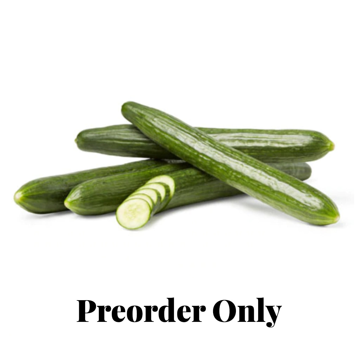 Cucumber – Telegraph/Continental