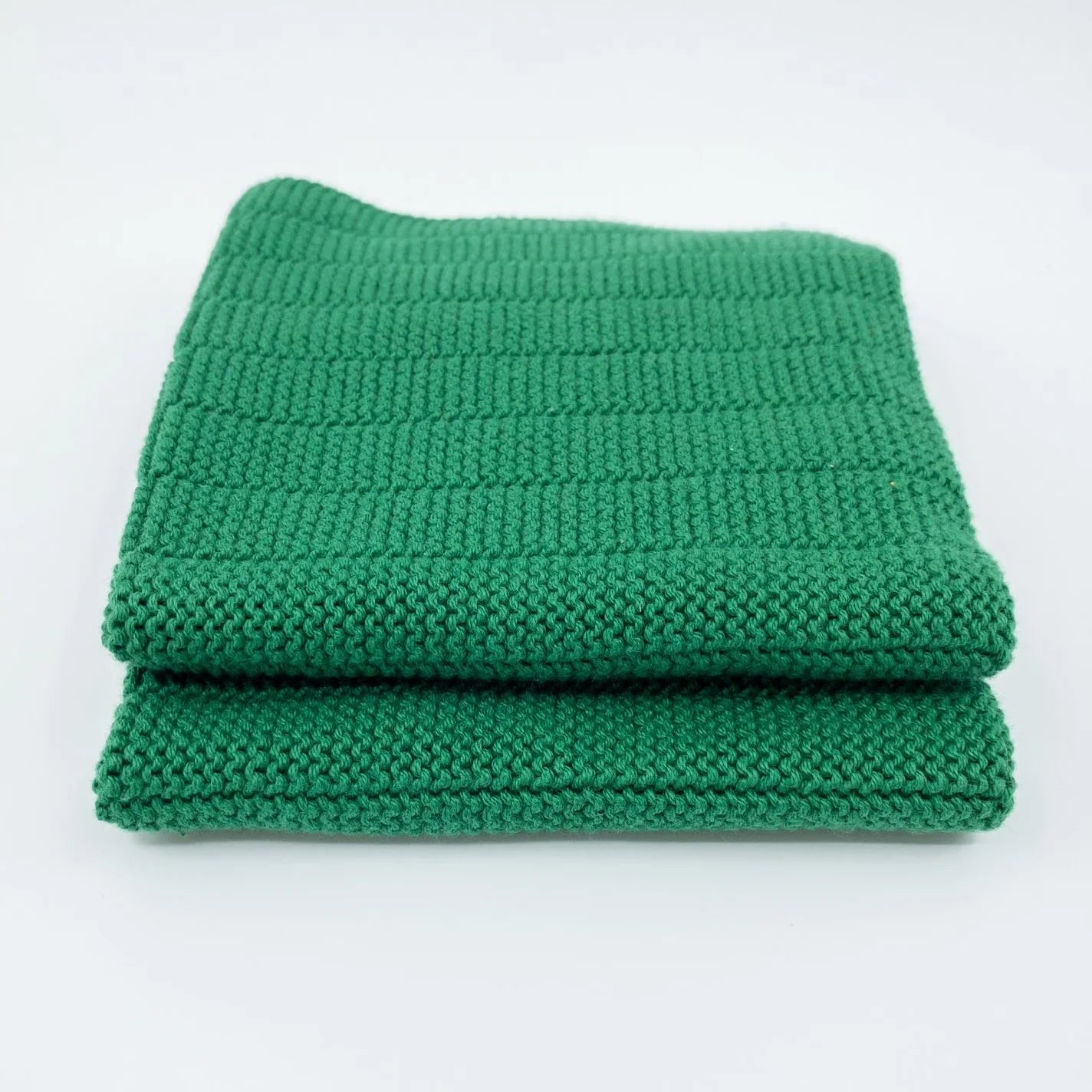 Ecovask Dishcloths Twin Pack - Emerald