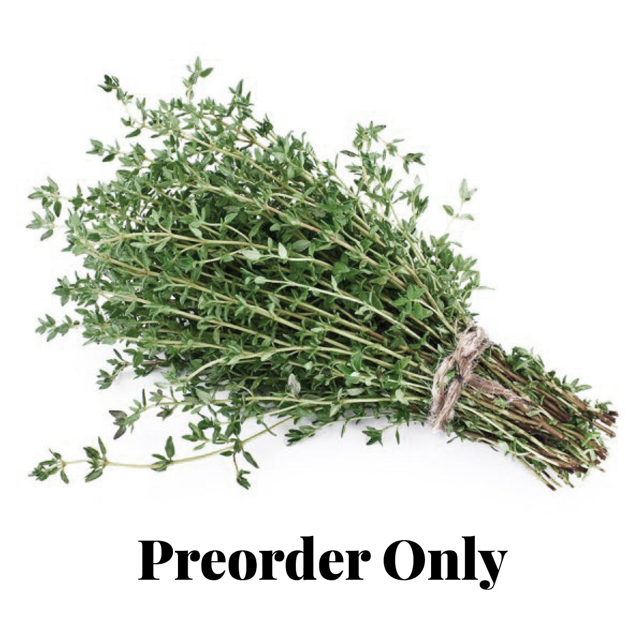 Thyme - bunch