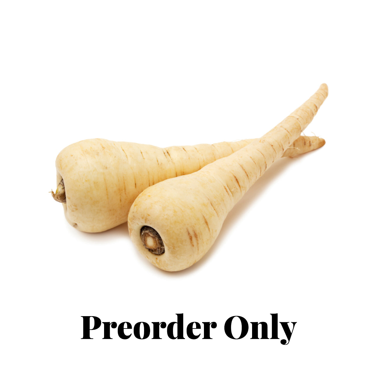 Parsnip - fresh - seasonal (May-Aug)