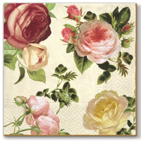 Cocktail 3 Ply Napkins - Rosalia Champagne - Pack 20