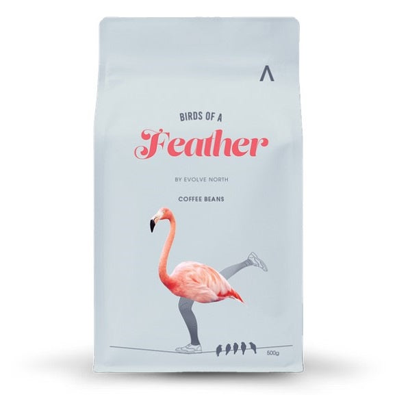 Evolve North Birds of a Feather Coffee 500g