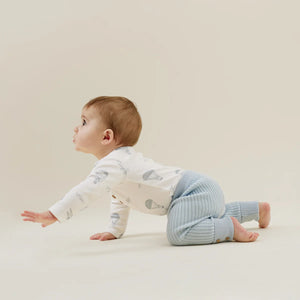 Aster & Oak Pale Blue Knit Rib Legging - 6-12m