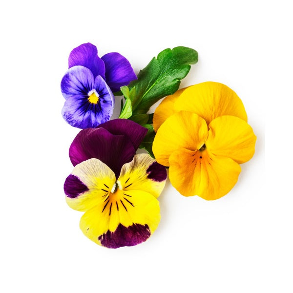 Edible Flowers - punnet - seasonal (Aug-Apr)