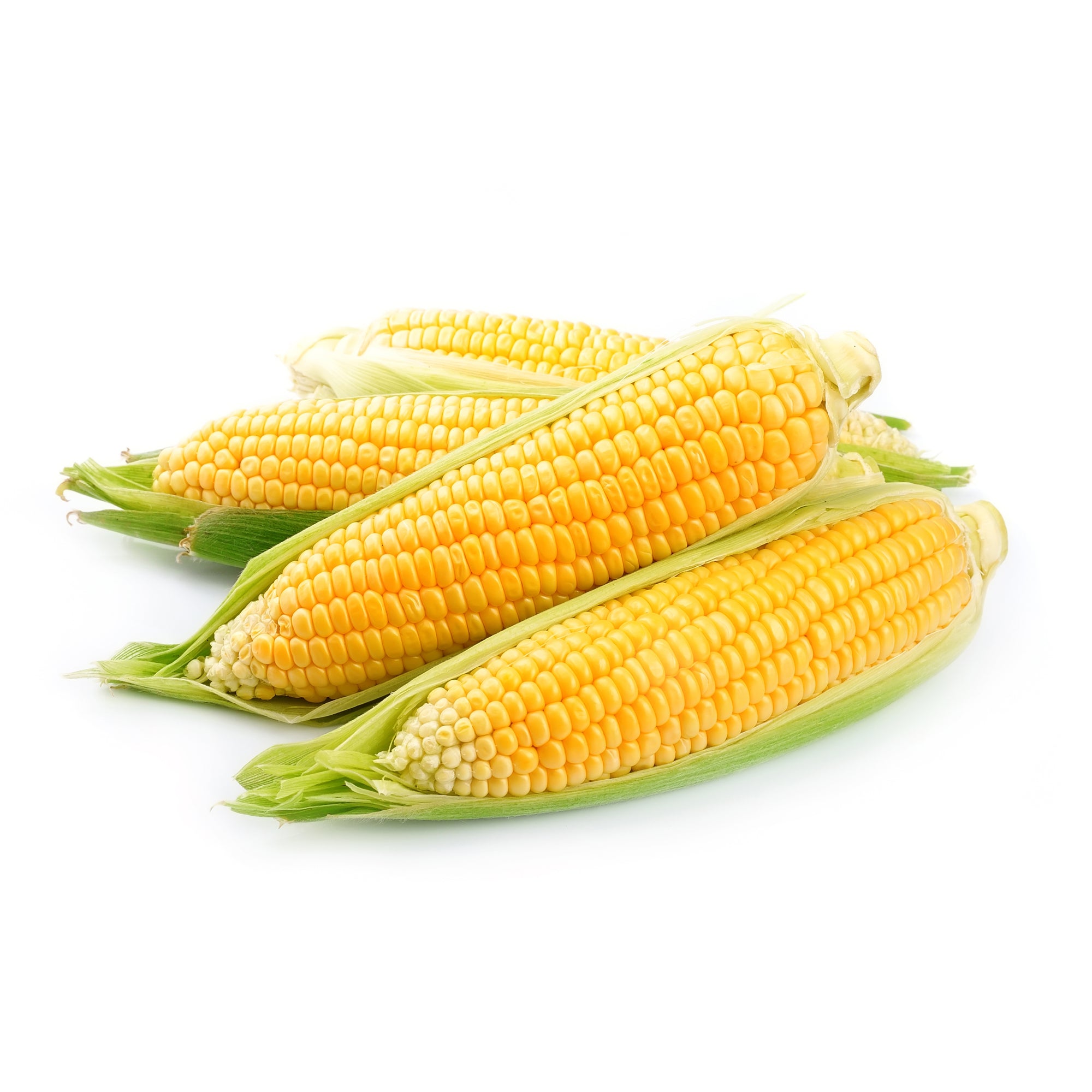 Corn Cob