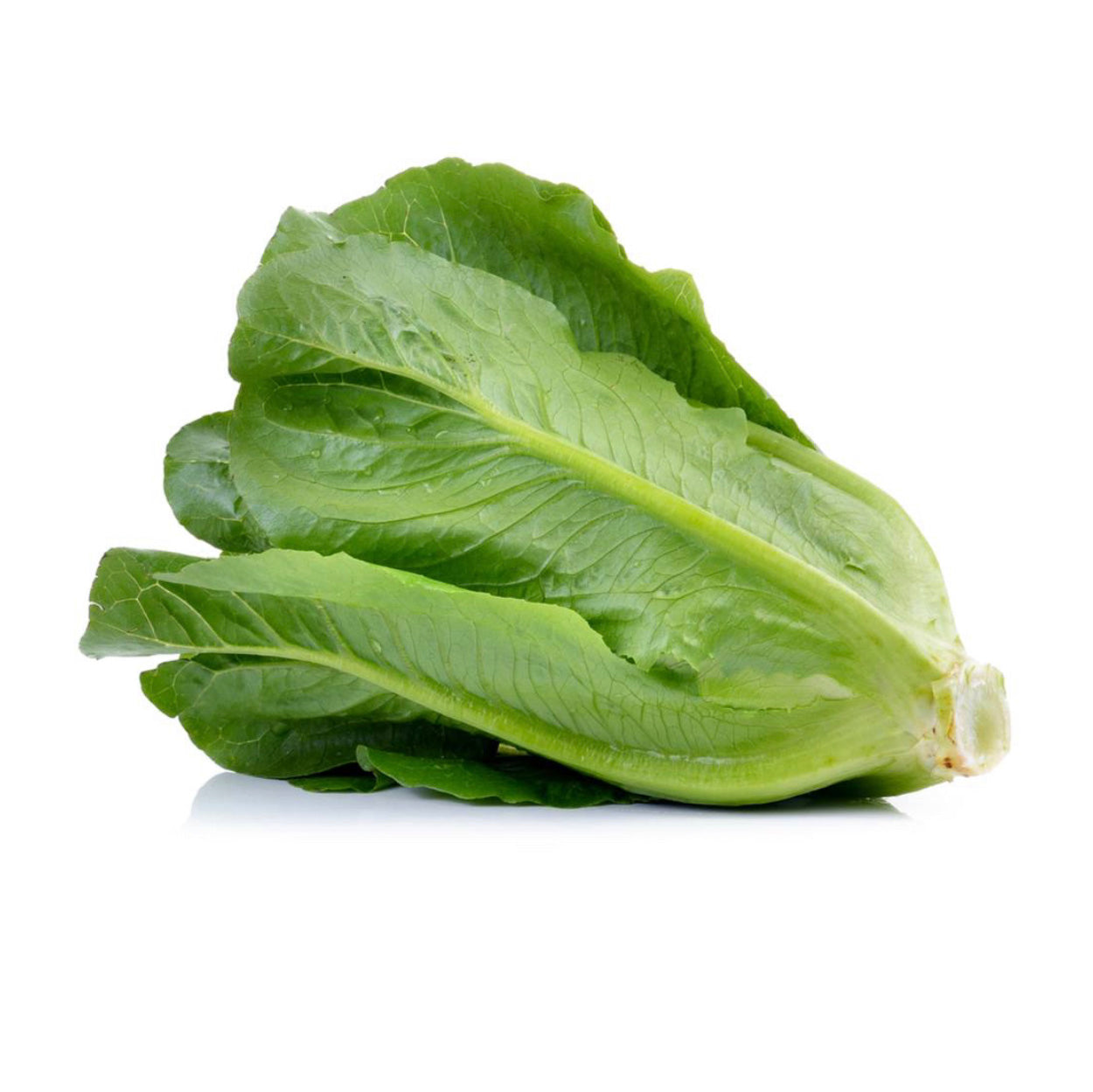 Lettuce Cos / Each