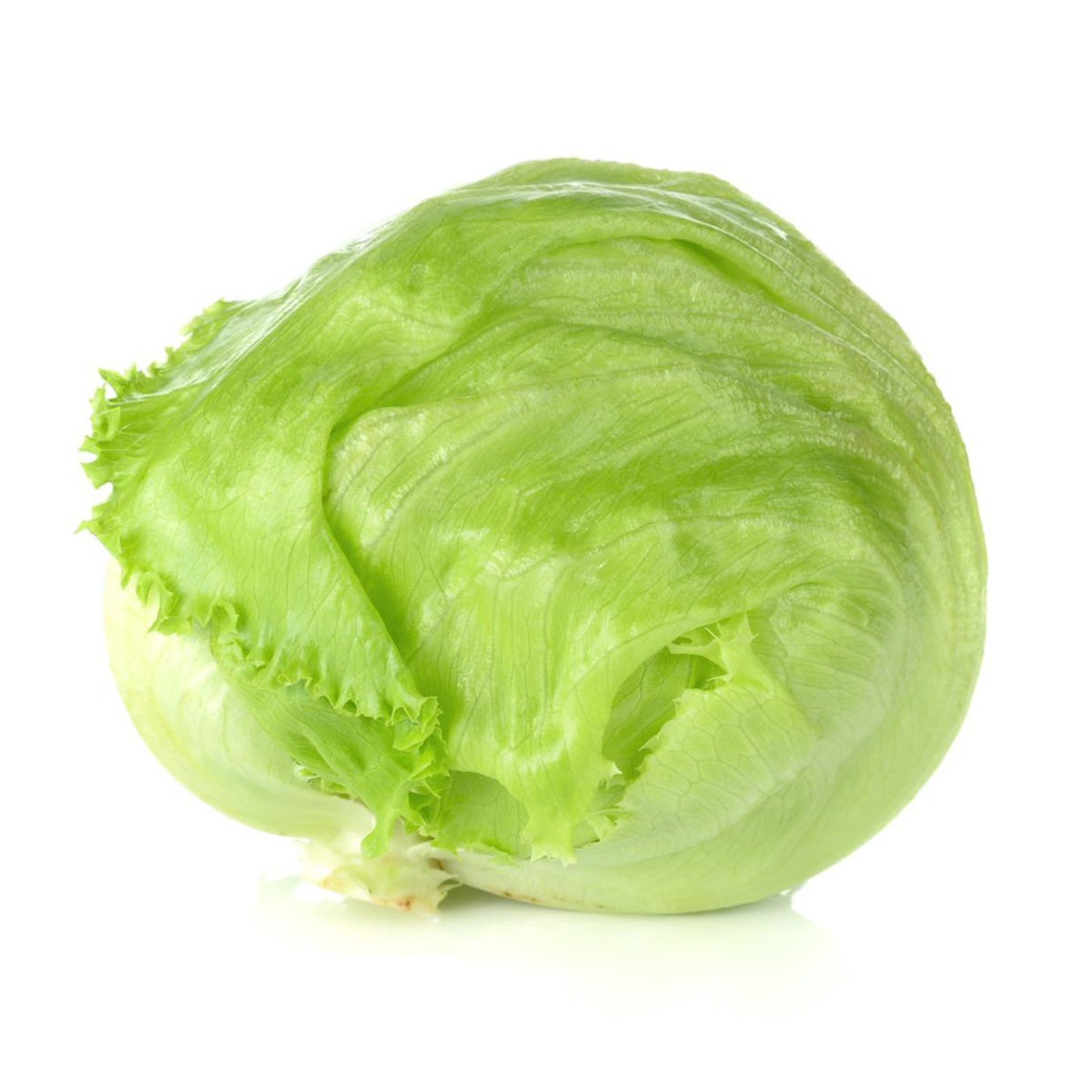 Lettuce Iceberg