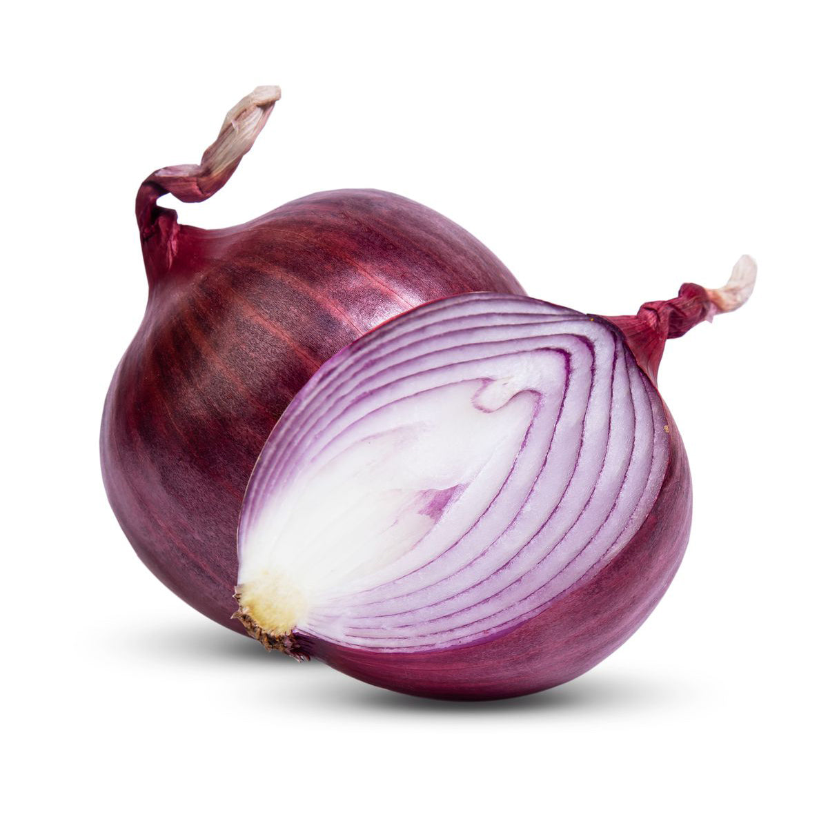 Spanish Onion