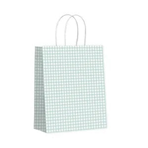 Twisted Handle Gift Bag Gingham Seafoam Medium - 210x270x110mm