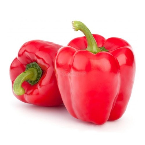 Capsicum - Red